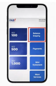 Balance Inquiry from the menu.