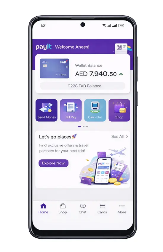 Payit Wallet dashboard